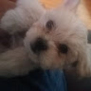 Meet your Posher, Jack